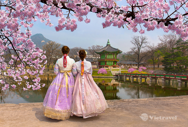Hàn Quốc: Seoul - Everland - Namsan - Nami (4 đêm khách sạn) | Sắc Thu - Đông 2022