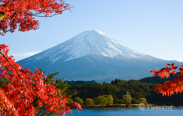 Nhật Bản:Osaka- Nara- Kyoto- Núi Phú Sĩ- Tokyo Tết Dương lịch